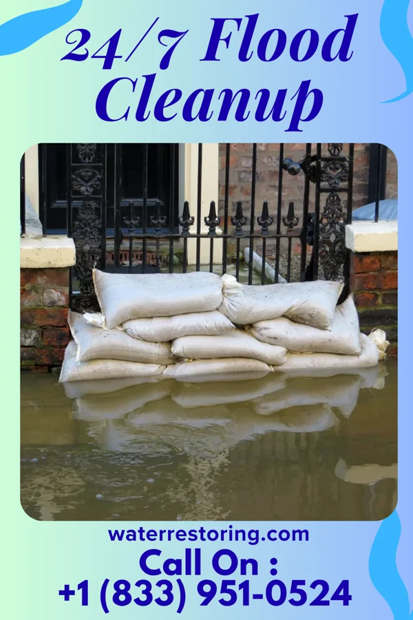 24/7 Flood Cleanup in Arenzville, IL