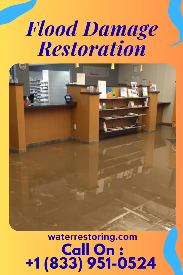 Flood Damage Restoration in Arenzville, IL